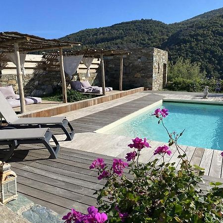 Chambres D'Hotes Et Studios De Charme - A Mandria Murato Kültér fotó