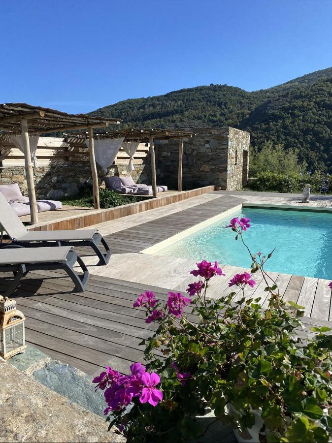 Chambres D'Hotes Et Studios De Charme - A Mandria Murato Kültér fotó
